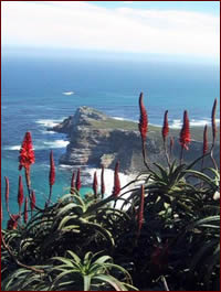 Tip of the Cape, South Africa